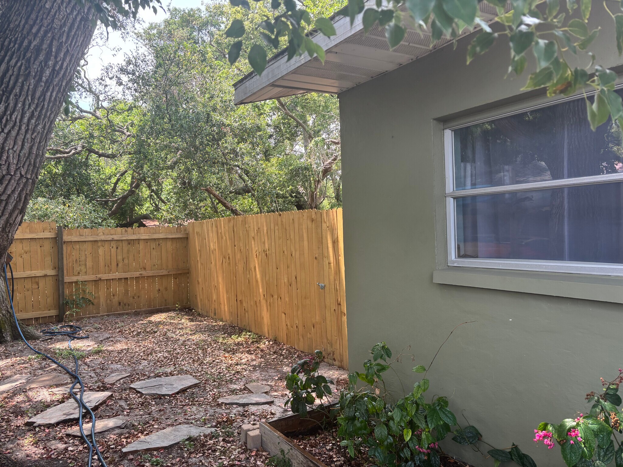 Front side yard - 931 Florida Ave
