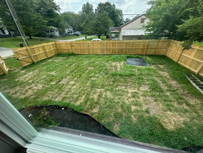 Side yard - 1198 8th St