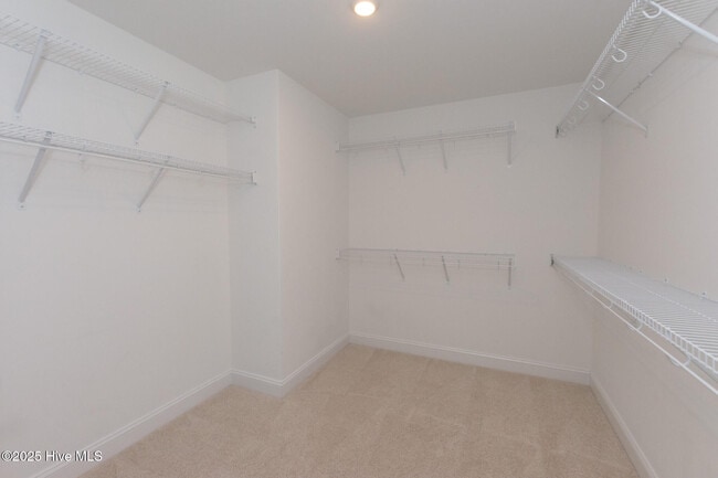 Building Photo - 608 Feather Ct