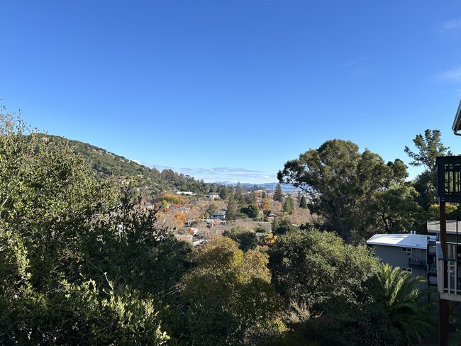 View from back deck - 49 Bayo Vista Way