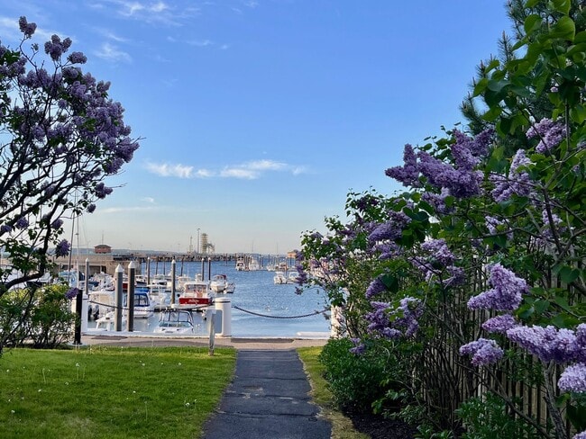 Building Photo - South Portland 2BD/1BA with Balcony at Bre...