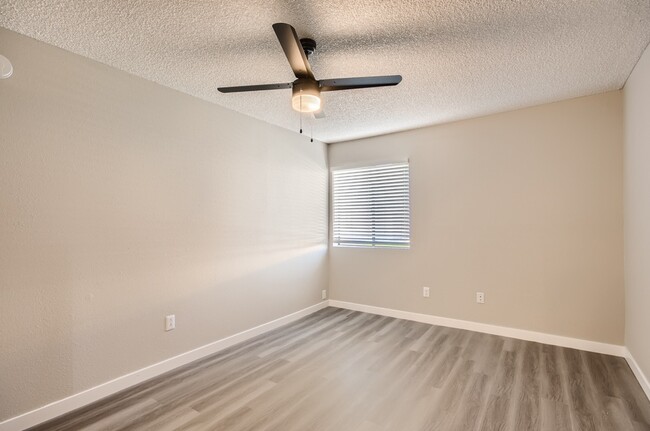 B1 Renovated - 2 Bed 1 Bath - Rise on McClintock