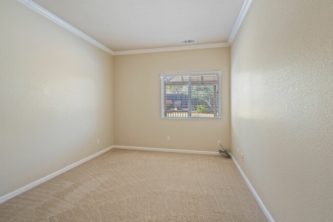 Building Photo - 300 Homewood Ct