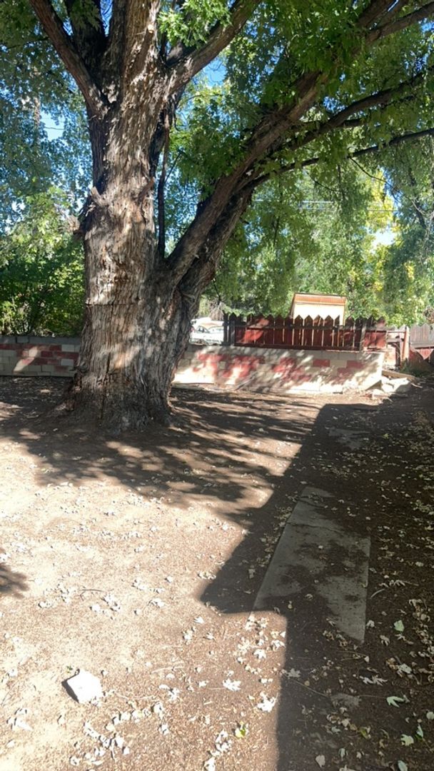 Building Photo - 2 bed 1 bath Aztec NM