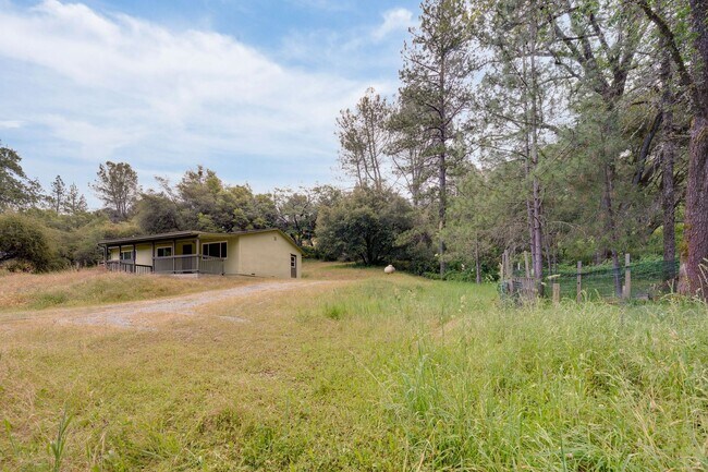 Building Photo - 1019 Mt Aukum Ct
