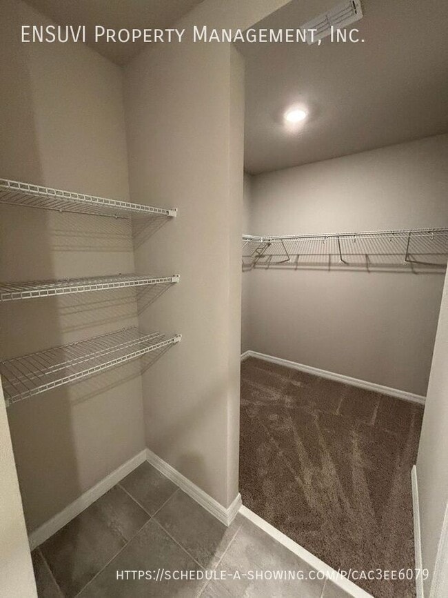 Building Photo - 3913 Radiant Mountain Dr