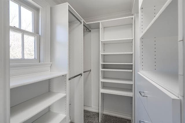 Building Photo - 8530 Jourdan Way