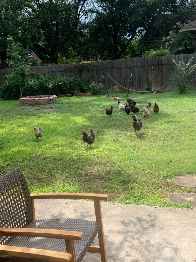 Building Photo - Beautifully Updated 3BR Home in Prime South Austin Location!