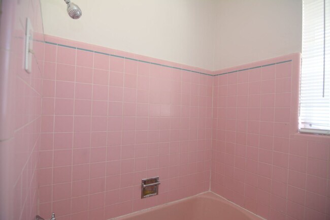 Building Photo - 6 Bedroom 3 Bath Home! Walking distance to University!