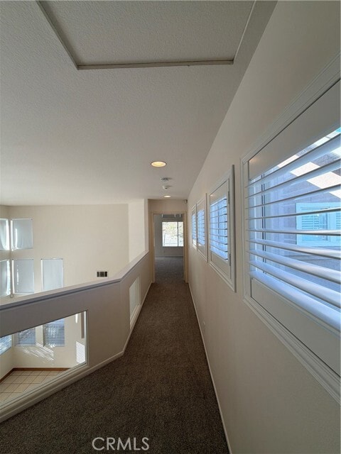 Building Photo - 17 Pastora