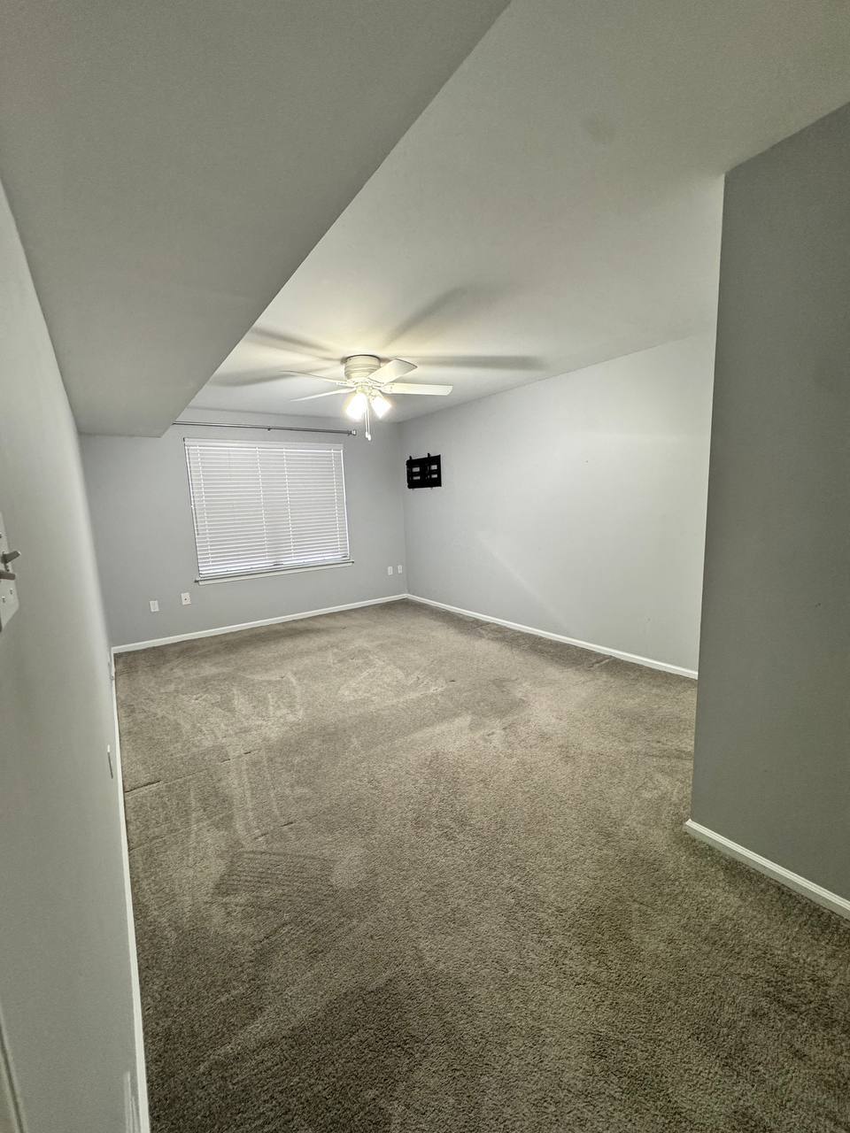 Building Photo - 283 Sassafras Ct