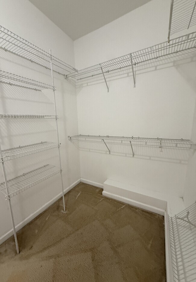 Building Photo - 4304 E Barcelona Way