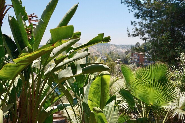 Building Photo - Stunning 2 bed/ 2 Bath Mid Century Modern Mount Washington Home with Panoramic Views, Floor to Ce...