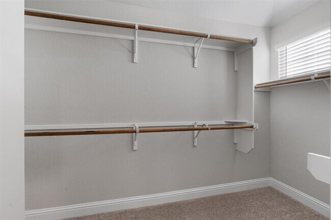 Building Photo - 312 Stone Cyn Dr