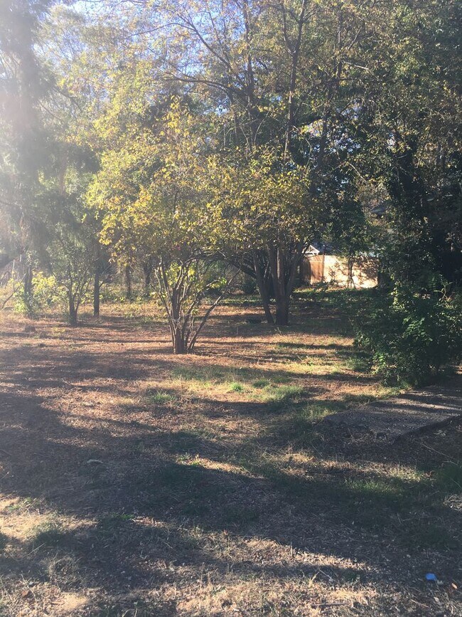 Building Photo - Paradise Cozy 2 bed one bath off of upper ...