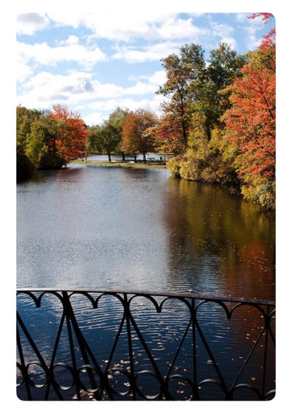 Building Photo - 15 Hawley St