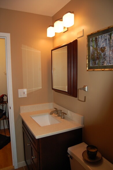 Medicine chest in mirror and cabinet/drawers under sink vanity - 1636 N Wells St