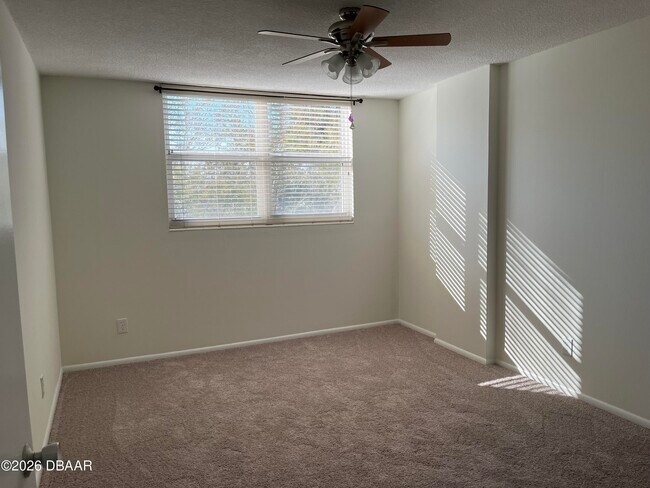 Building Photo - 1224 S Peninsula Dr