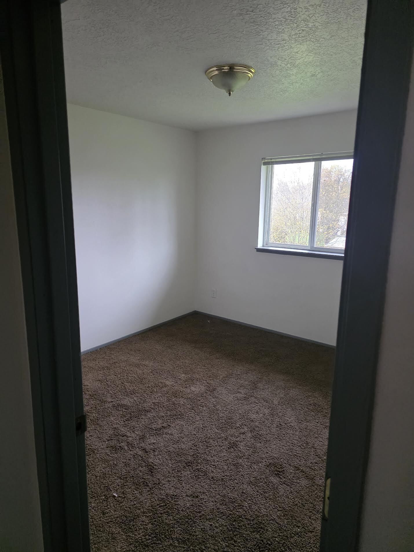 Building Photo - 264 Ecols St S