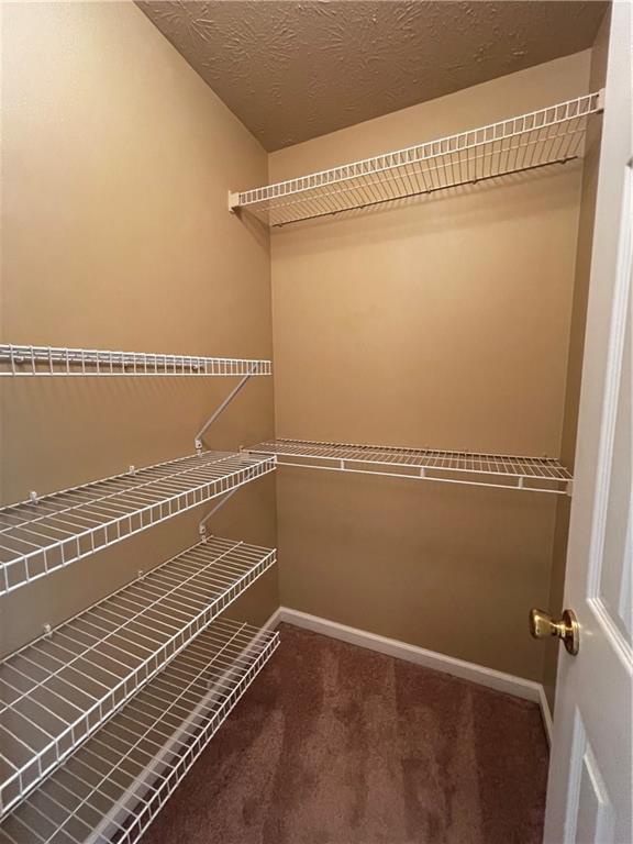 Building Photo - 633 Forest Pine Dr