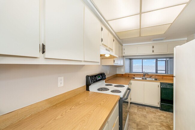 Building Photo - New Renovated Condo