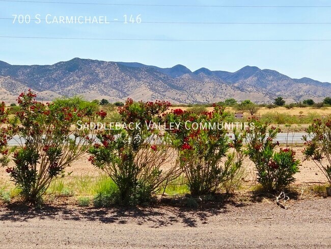 Building Photo - 700 S Carmichael-146