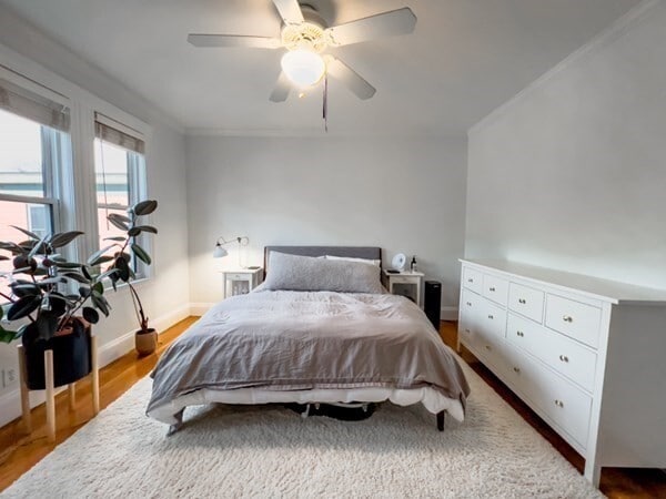 Building Photo - 23 Goldsmith St