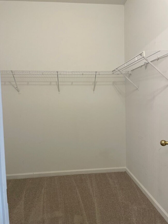 Building Photo - Beautiful Spacious Home in Deland