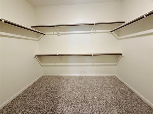 Building Photo - 1044 Maidenhair Ln