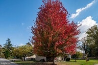 Building Photo - 2201 Alvin Ave