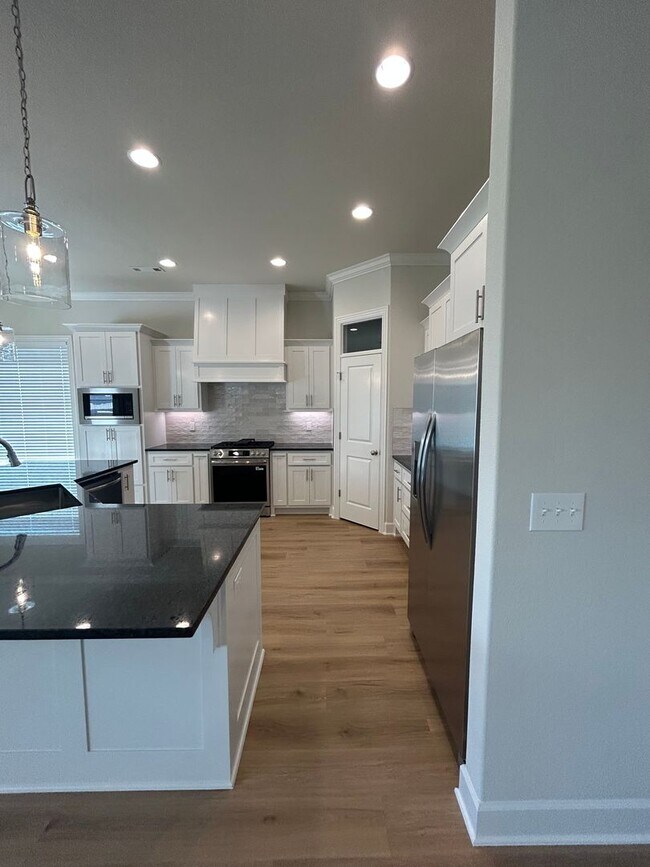 Building Photo - Brand New 4 bed 2.5 bath Modern Build in P...