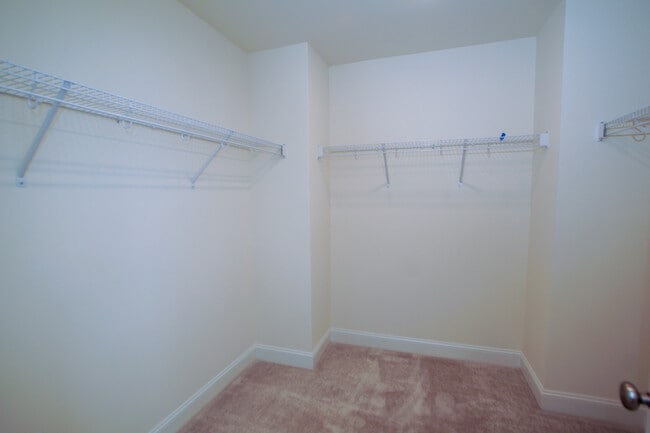 Building Photo - 206 Oakchest Ct