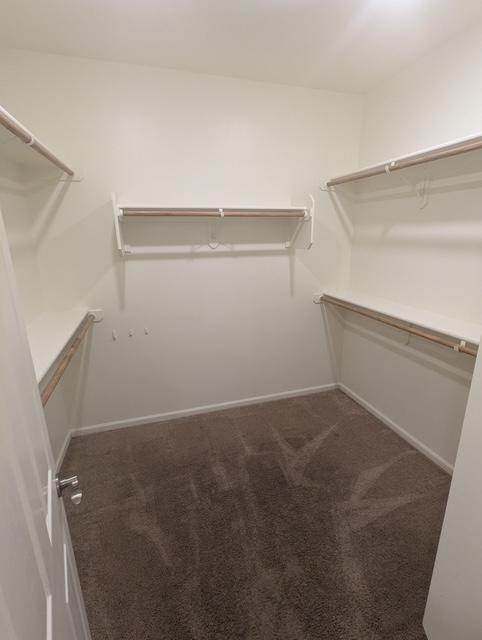Building Photo - 10242 S Pantano Knolls Dr