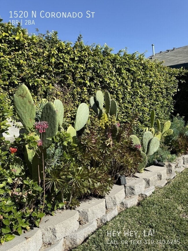 Building Photo - 1520 N Coronado St