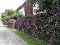 Building Photo - 2249 Bonar St