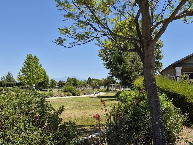 Building Photo - 31810 Ives Ct
