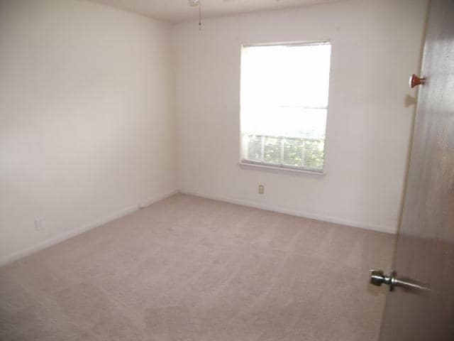 Building Photo - 10108 Woodland Village Dr