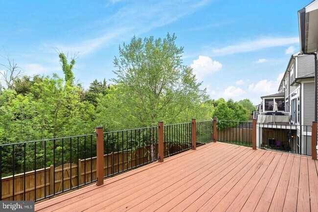 Building Photo - 23322 Evening Primrose Square