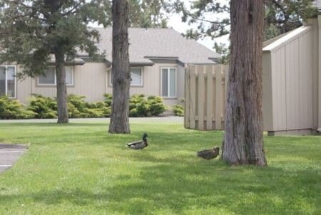 Building Photo - 179 NE Isaiah Dr