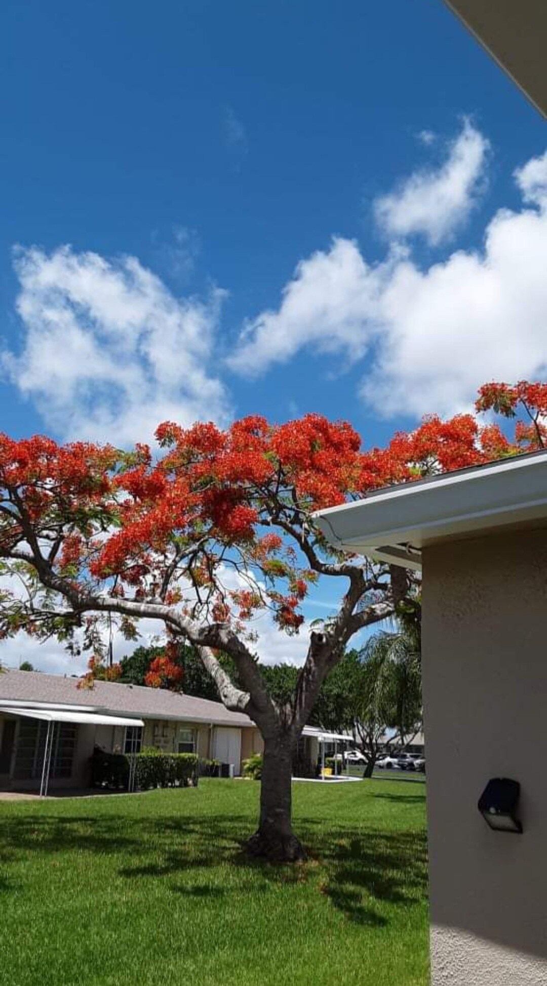 Building Photo - 8732 Bella Vista Dr