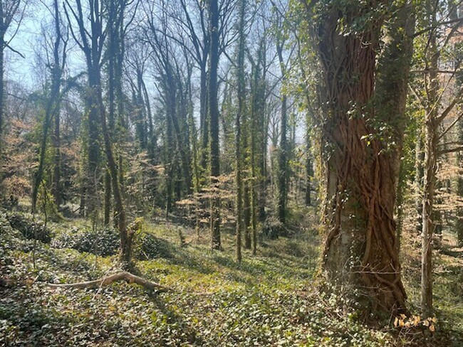 Building Photo - Condo in the heart of Winston-Salem!