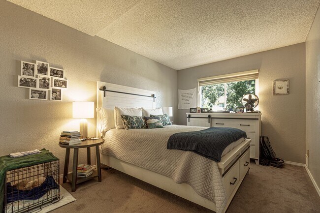 Building Photo - Briargate home on Chancellor for rent!