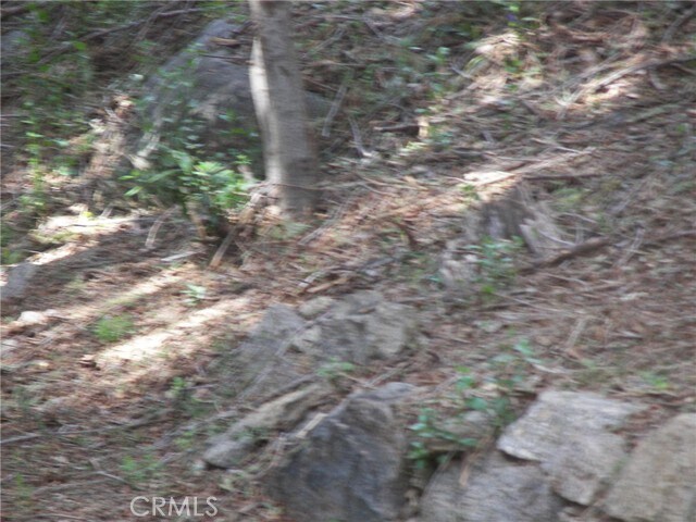 Building Photo - 21636 Sawpit Canyon Rd