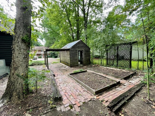 Building Photo - 107 Herbert St