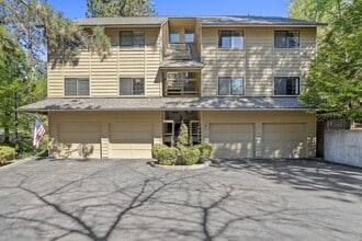 Building Photo - The Woodlands Condos