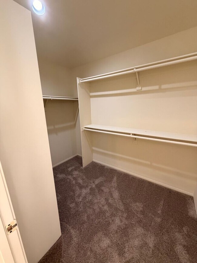 Building Photo - Beautiful 3 Bedroom, 2.5 Bathroom Newport ...