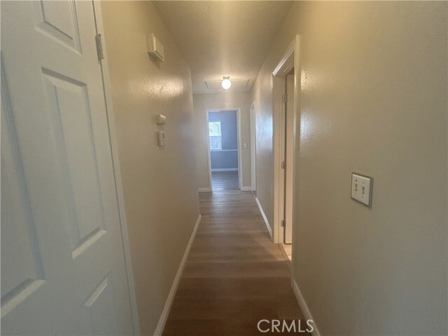 Building Photo - 2320 Songbird Ln