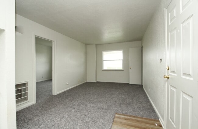 Carpet - 1303 S Cove Blvd