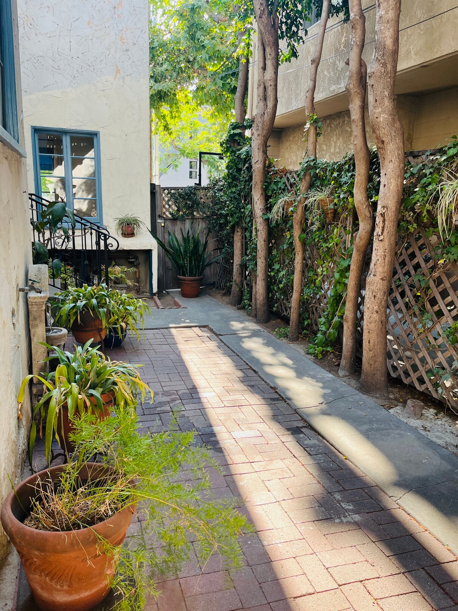 Building Photo - 1040 Prospect Ave