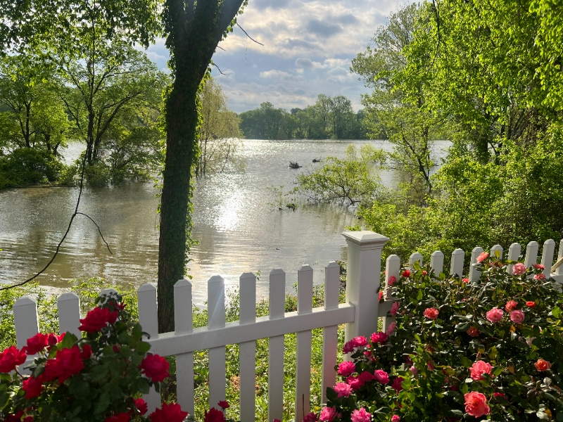 Building Photo - 1204 Harbor River Dr